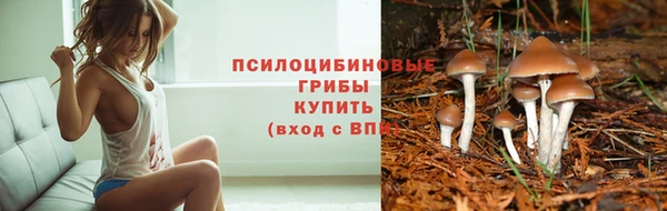 герыч Белокуриха