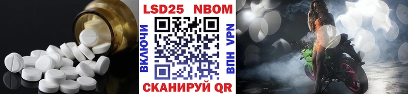 как найти Кедровый ЛСД экстази кислота