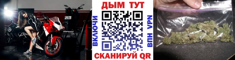 где найти наркотики  Кедровый  Бошки марихуана VHQ 